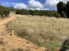 1560 Numeralla Road, Numeralla, NSW 2630-Image