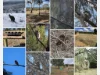 1560 Numeralla Road, Numeralla, NSW 2630-Image