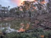 1560 Numeralla Road, Numeralla, NSW 2630-Image