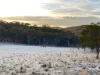 1560 Numeralla Road, Numeralla, NSW 2630-Image