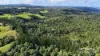 157 Hughes Road, Topaz, Qld 4885