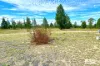 1583 Tobacco Road, Coolmunda, Qld 4387-Image