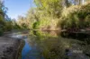 1595 Flagstone Creek Road, Upper Flagstone, Qld 4344-Image