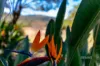 1595 Flagstone Creek Road, Upper Flagstone, Qld 4344-Image