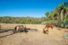 1595 Flagstone Creek Road, Upper Flagstone, Qld 4344-Image