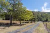 1595 Flagstone Creek Road, Upper Flagstone, Qld 4344-Image
