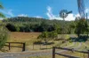 1595 Flagstone Creek Road, Upper Flagstone, Qld 4344-Image