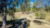 1595 Flagstone Creek Road, Upper Flagstone, Qld 4344-Image