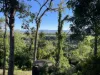 1596 Hawkins Creek Road, Hawkins Creek, Qld 4850-Image