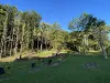 1596 Hawkins Creek Road, Hawkins Creek, Qld 4850-Image
