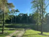 1596 Hawkins Creek Road, Hawkins Creek, Qld 4850-Image