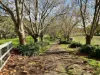 16 Boundary Road, Mortlake, Vic 3272-Image