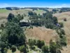 16 Hogan Lane, Trafalgar South, Vic 3824-Image
