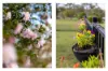 16 Jonnel Heights Place, Pampoolah, NSW 2430-Image