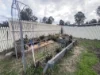 16 Malar Crescent, Booie, Qld 4610-Image