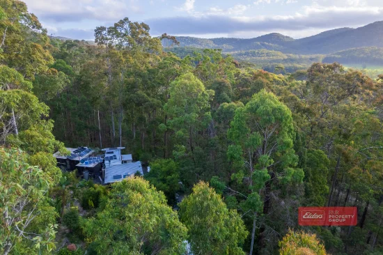 16 Old School House Road, Crawford River, NSW 2423