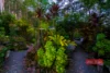16 Old School House Road, Crawford River, NSW 2423-Image