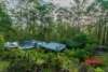 16 Old School House Road, Crawford River, NSW 2423-Image
