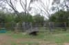 16 Taylor Street, Warra, Qld 4411-Image