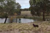 160 Doust Road, Bywong, NSW 2621-Image