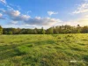 160 Hodgens Road, Bald Knob, Qld 4552-Image