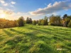 160 Hodgens Road, Bald Knob, Qld 4552-Image