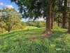 160 Hodgens Road, Bald Knob, Qld 4552-Image
