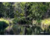 160 Hodgens Road, Bald Knob, Qld 4552-Image