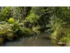 160 Hodgens Road, Bald Knob, Qld 4552-Image