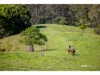 160 Hodgens Road, Bald Knob, Qld 4552-Image