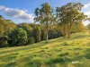 160 Hodgens Road, Bald Knob, Qld 4552-Image