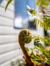 160 South Riana Road, Upper Natone, Tas 7321-Image