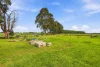 1607 Sale Heyfield Road, Denison, Vic 3858-Image