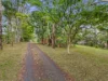 161 Mudgeeraba Road, Tallai, Qld 4213-Image