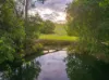 1611 Sandy Creek Road, Downsfield, Qld 4570-Image