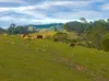 1611 Sandy Creek Road, Downsfield, Qld 4570-Image