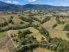 162 BLUE KNOB ROAD, Nimbin, NSW 2480-Image