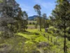 162 BLUE KNOB ROAD, Nimbin, NSW 2480-Image
