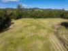 162 BLUE KNOB ROAD, Nimbin, NSW 2480-Image