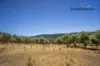 162 Torrens Valley Road, Gumeracha, SA 5233-Image