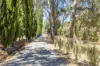 162 Torrens Valley Road, Gumeracha, SA 5233-Image
