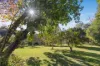 1627 Darkwood Road, Bellingen, NSW 2454-Image