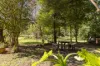 1627 Darkwood Road, Bellingen, NSW 2454-Image