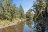 1627 Darkwood Road, Bellingen, NSW 2454-Image