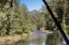 1627 Darkwood Road, Bellingen, NSW 2454-Image