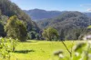 1627 Darkwood Road, Bellingen, NSW 2454-Image