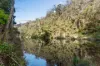 1627 Darkwood Road, Bellingen, NSW 2454-Image