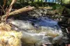 163 Cedar Creek Road, Belli Park, Qld 4562-Image