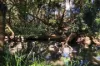 163 Cedar Creek Road, Belli Park, Qld 4562-Image