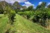 163 Cedar Creek Road, Belli Park, Qld 4562-Image